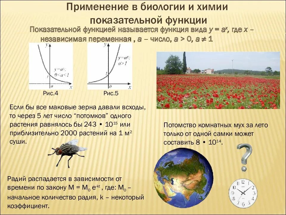 Практическое применение функции. Графики функций в жизни. Применение графиков функций в жизни. Степенная функция в жизни человека. Применение показательной функции.