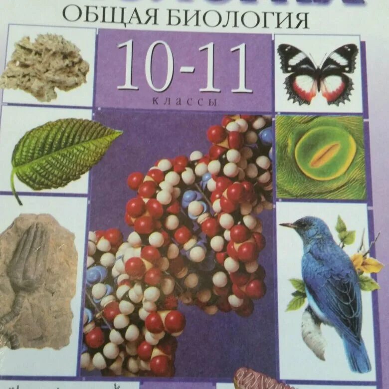 Сочи по биологии 11 класс. Каменский Криксунов Пасечник биология 10 11 класс. Биология 10-11 класс Пасечник. Биология 10 класс Пасечник. Биология 10 класс базовый уровень Пасечник.