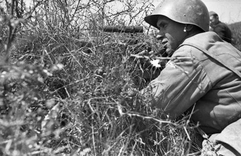 Про вов 1941 1945 про снайперов