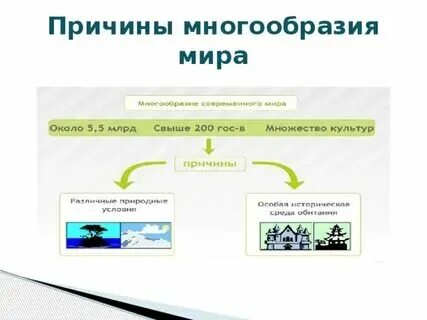 Многообразие истории это. Многообразие истории это