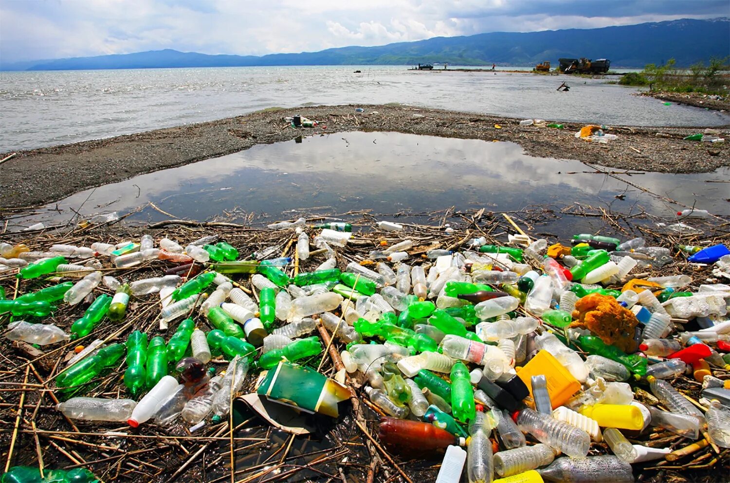 5 экологическая проблема