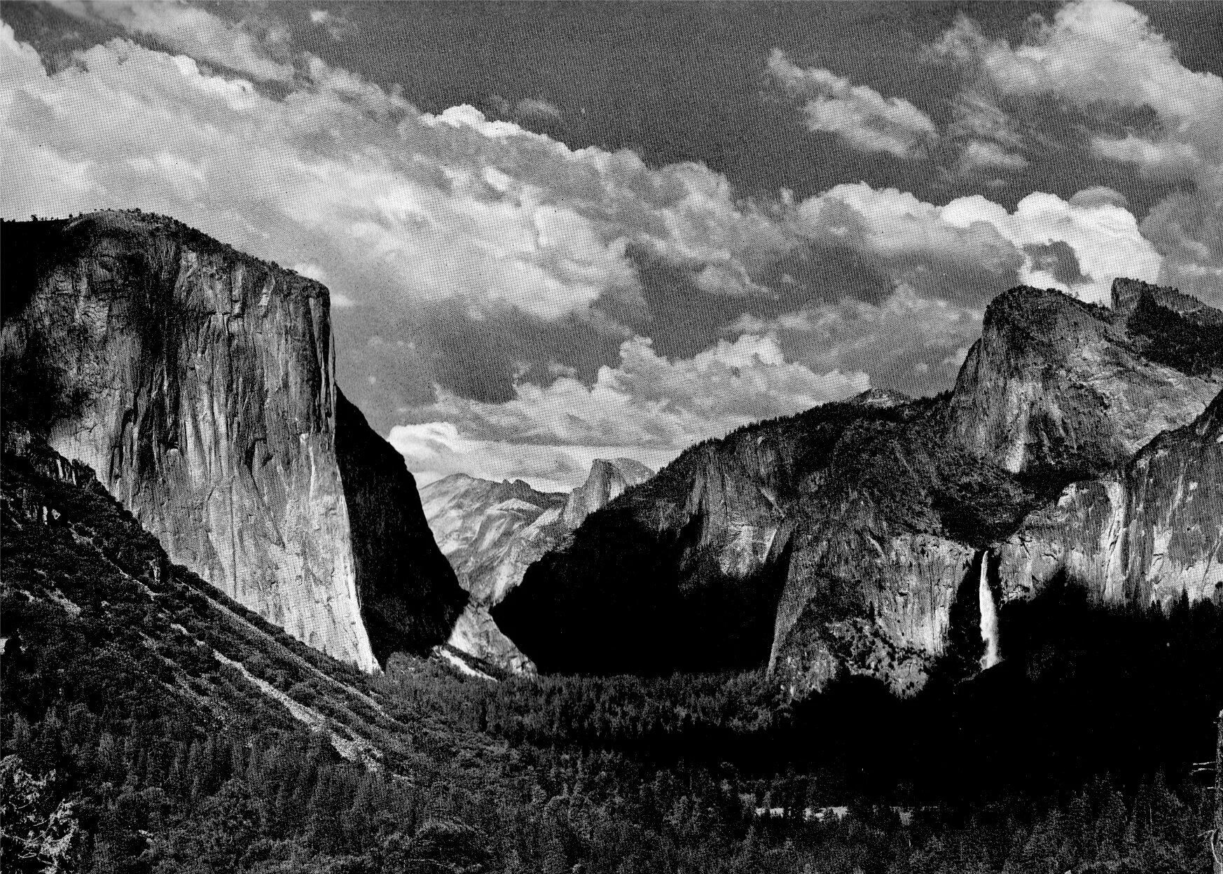 Adams cloud