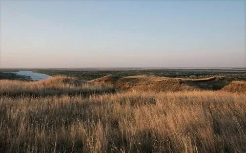 Российская низменность