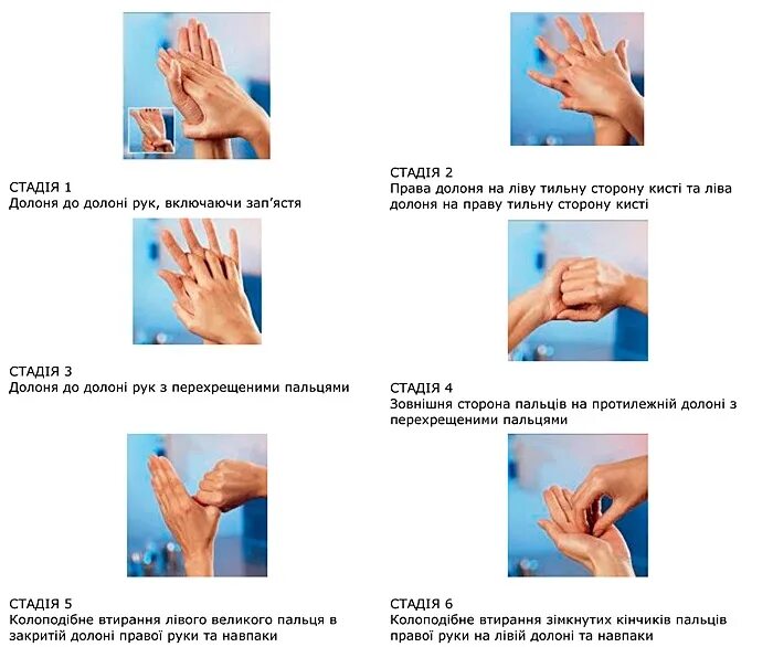 Гигиеническая обработка рук стандарт en 1500. Схема гигиенической обработки рук. Правильное мытье рук медицинского персонала. Схема гигиенического мытья рук медперсонала.