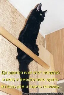Вместо него