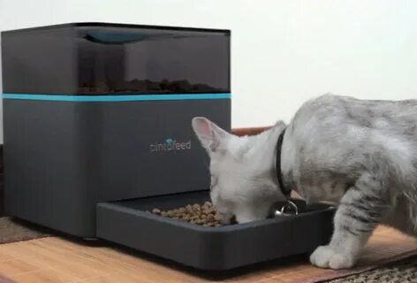Покупаю коту умную кормушку