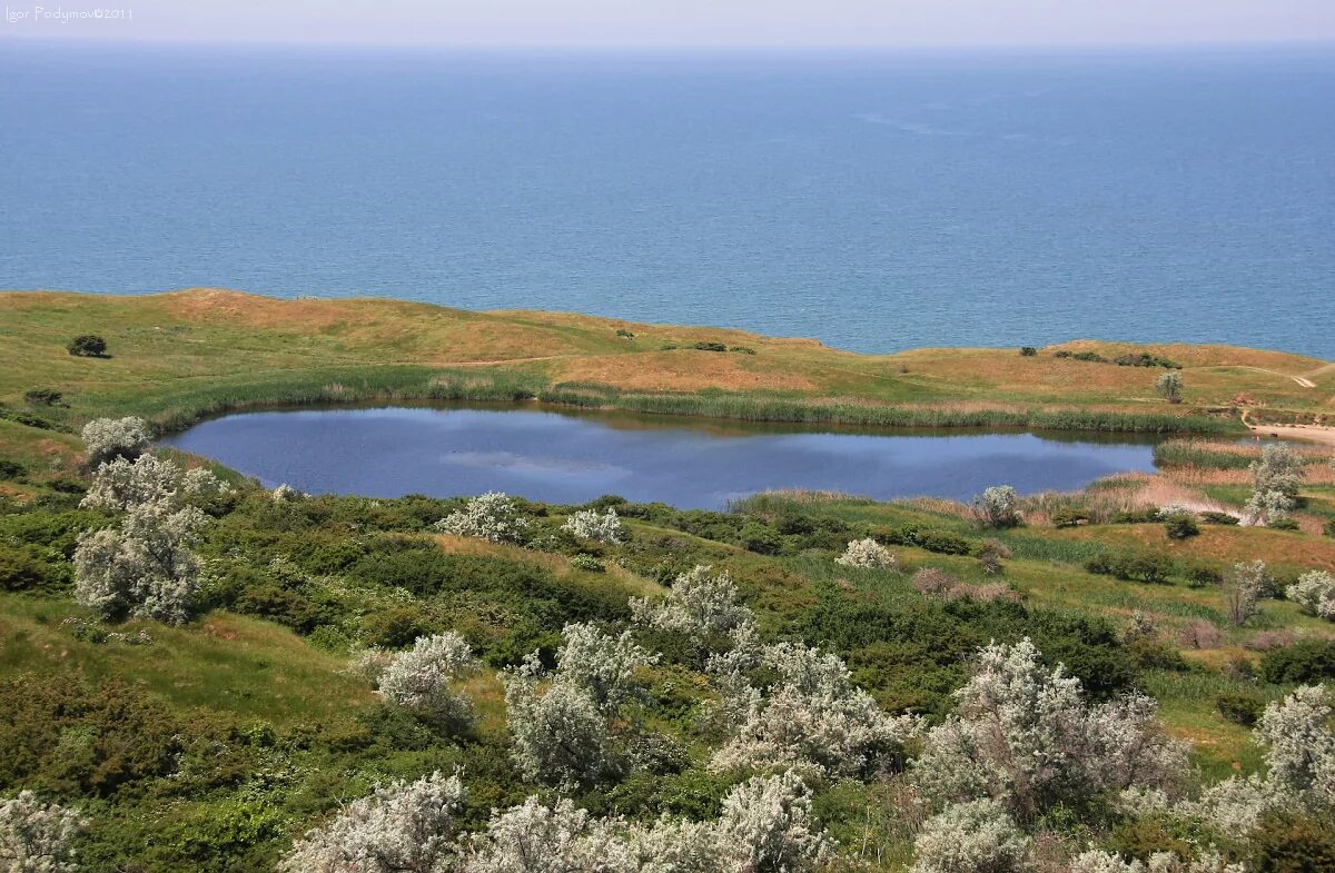 прогноз погоды тамань краснодарский край. шахский остров тамань. тамань на карте краснодарского края. погода в краснодарском крае. тамань климат.