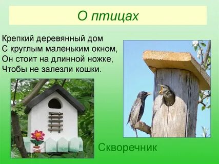 На шесте веселый дом с круглым маленьким