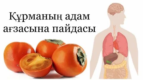 Порно жұлдыз Светлана