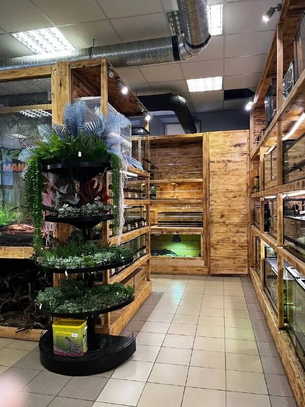 Зоомагазин planet exotic. Экзомания зоомагазин. Лого магазина экзотических животных. Магазин пантерик парк победы. Зоомагазин шоссе энтузиастов.