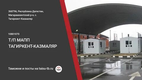 Тагиркент казмаляр