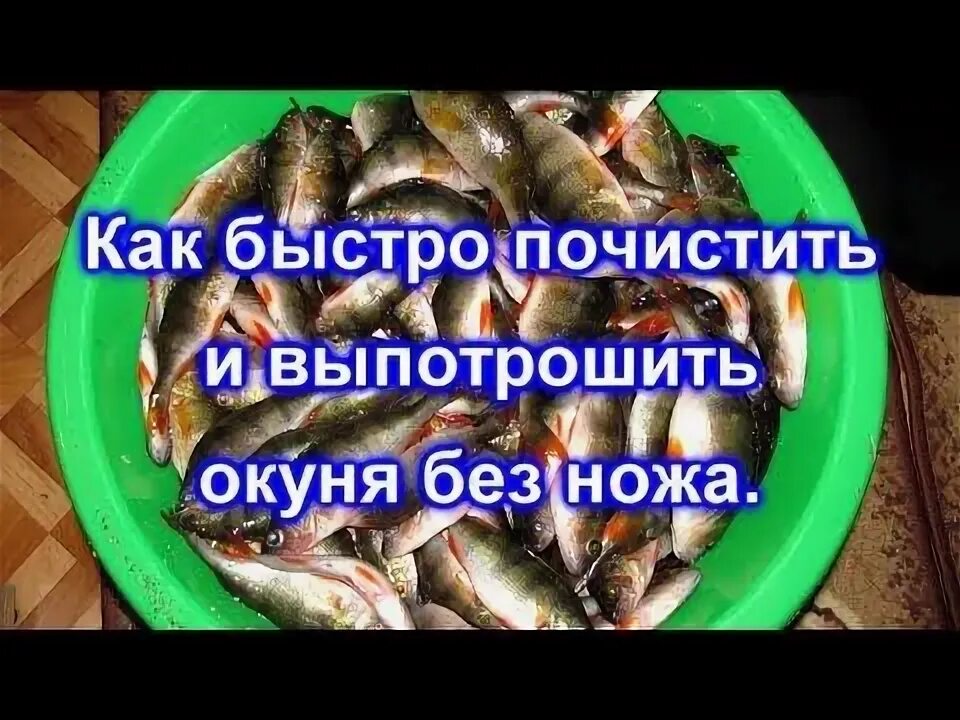 Как быстро чистить окуня видео. Окунь чистить быстро. как почистить окуня. быстро почистить окуня. видео как почистить окуня.