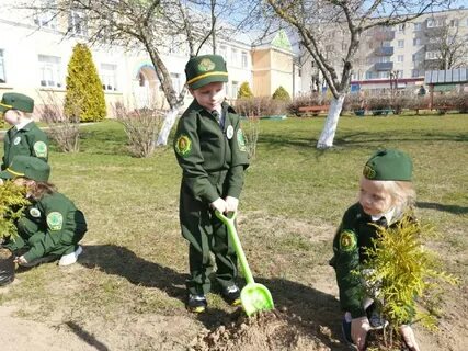 Дошкольное лесничество