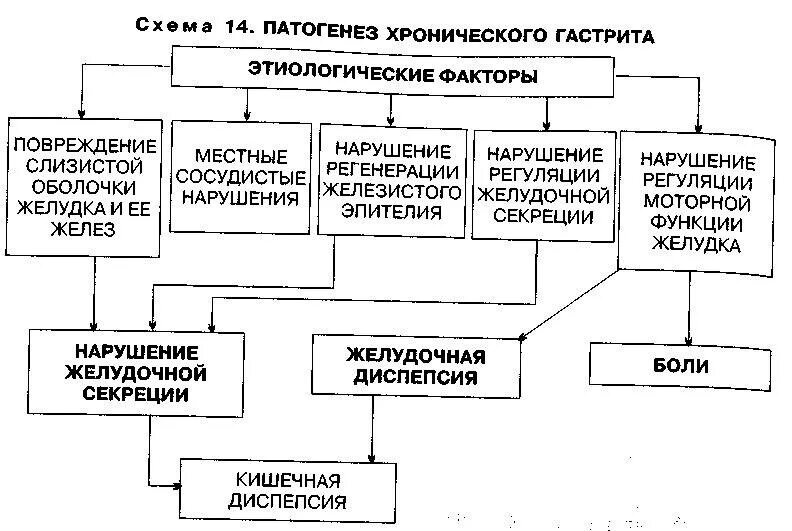 Хронический гастрит патогенез схема. Гастрит этиология и патогенез. Гастрит патофизиология. Гастрит патофизиология. Патогенез гастритов pylori.