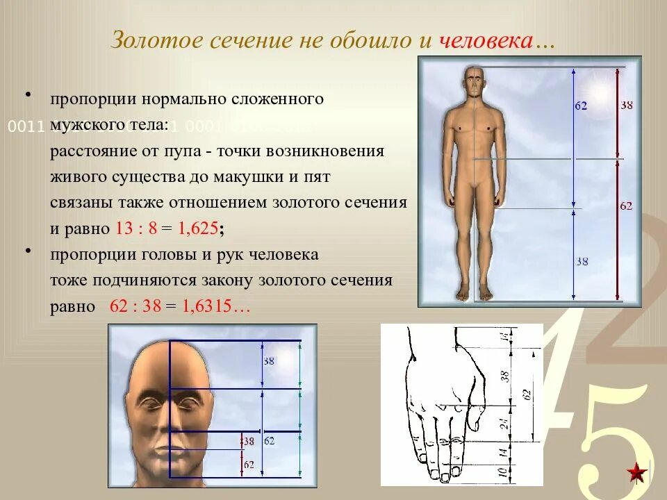Золотое сечение в фигуре человека. Золотое сечение в фигуре человека. Золотое сечение тела. Золотое сечение пропорции тела. Золотое сечение пропорции тела.