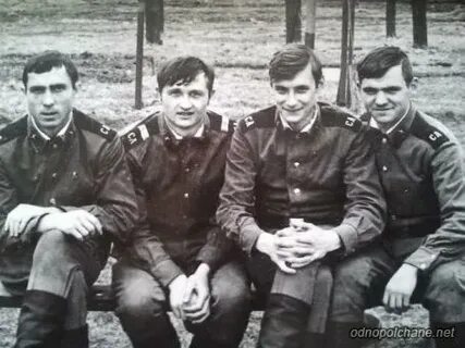 Однополчанин интернет
