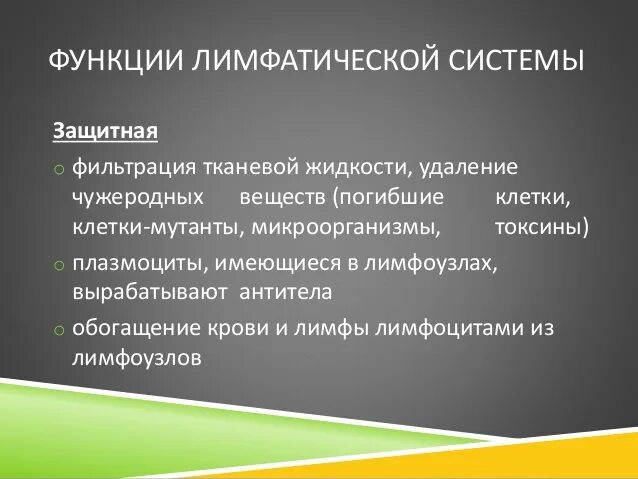 Функции лимфоузлов