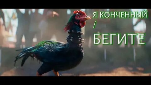 Петух 6