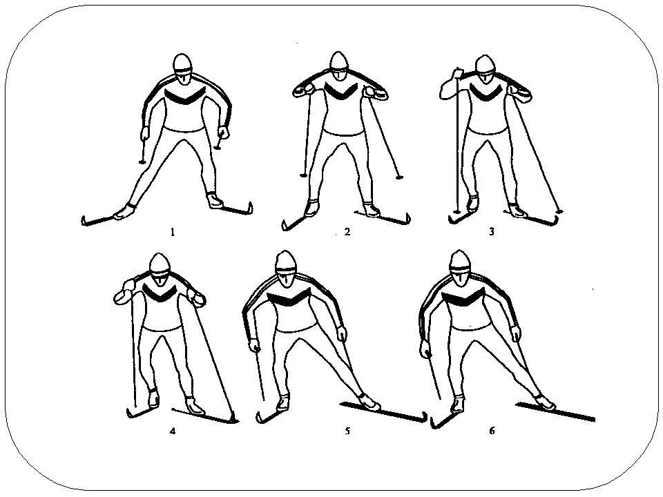 Попеременный двухшажный коньковый ход. Одновременный одношажный коньковый ход. Поперечный двухшажный коньковый ход. Одновременный двухшажный коньковый ход. Элементы передвижения на лыжах