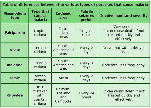 Сравнительная характеристика малярийных плазмодиев. Сравнительная характеристика малярий. Виды малярии таблица.