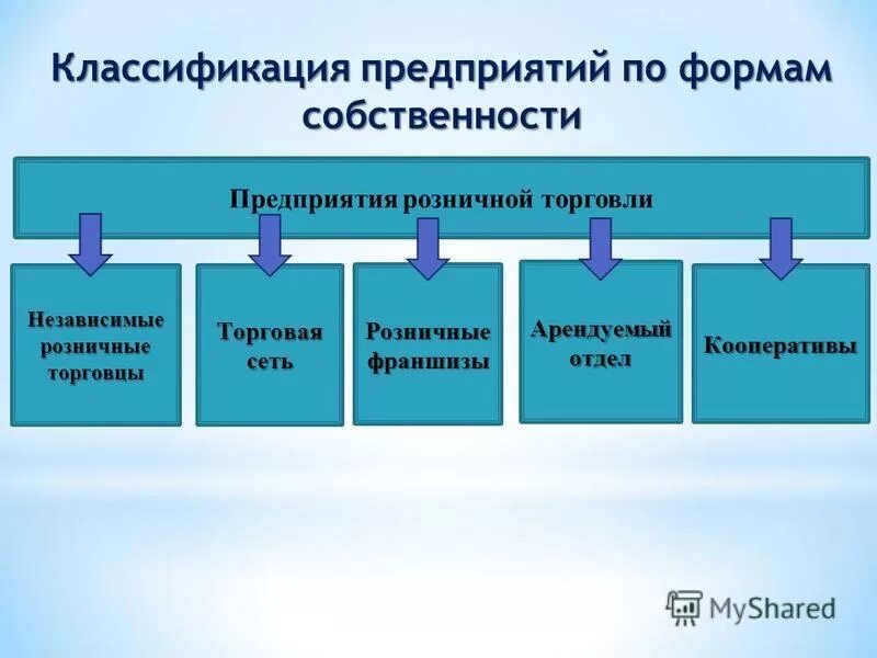 Виды организаций подразделяются на