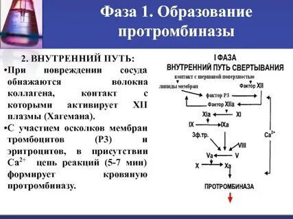 Реакцию запускали