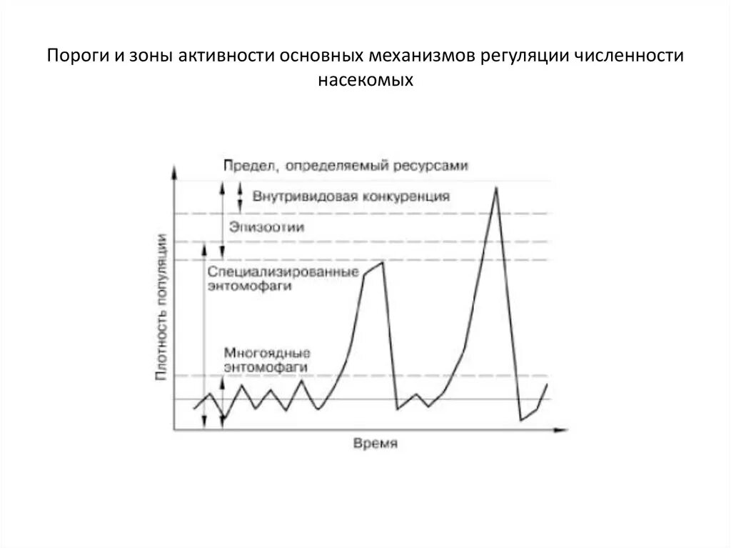 В чем состоит явление регуляции численности популяций. Механизмы регуляции популяции. механизмы регуляции численности популяции. регуляция численности популяции в биоценозе. каковы механизмы регуляции численности популяции.