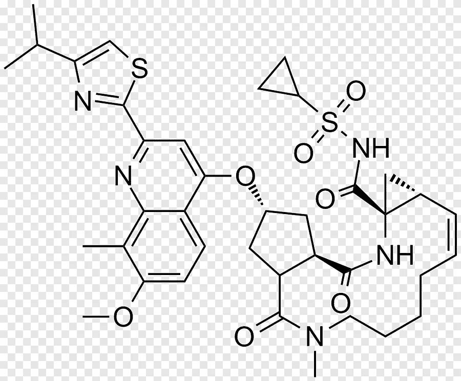 Симепревир. C Hepatit PNG. Hcv 3