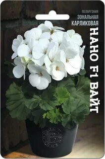 Пеларгония нано