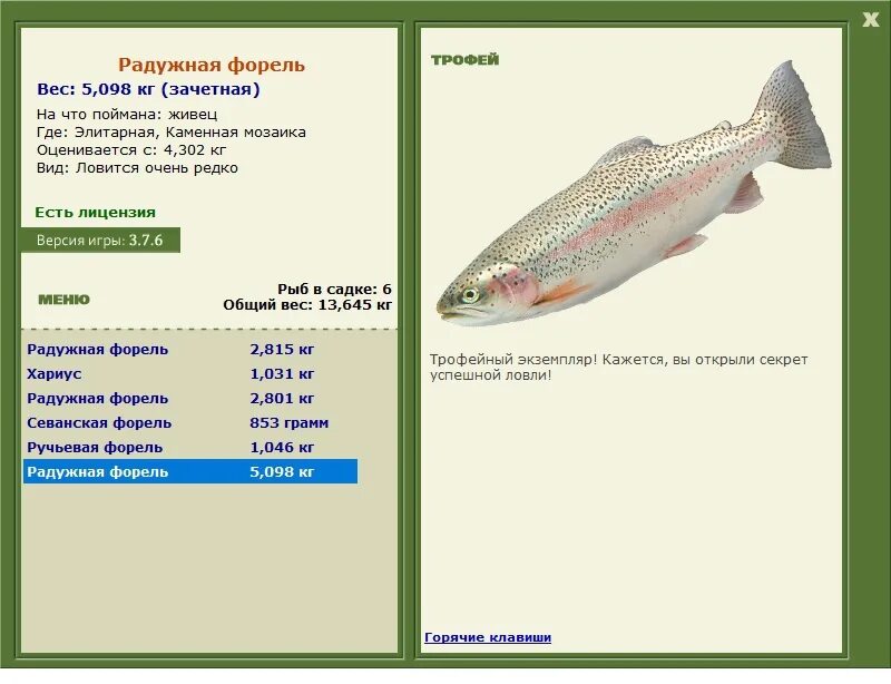 Форель размеры и вес. Вес рыбы форель. Форель дональдсона. Форель какой вес. Вес взрослой форели.