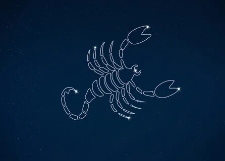 Скорпионы 24 декабря 2023