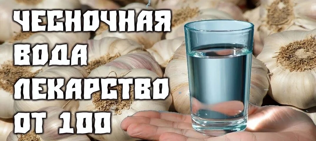 Чеснок и стакан воды. Чесночная вода. Чеснок в воде. Рецепт чесночной воды для питья. Чеснок с водой натощак