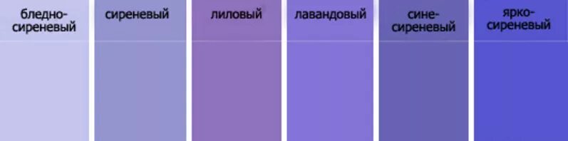 Чем отличается красный от синего. Оттенки фиолетового. Фиолетовый и сиреневый цвет разница. Оттенки лилового. Сиреневый и фиолетовый цвет.