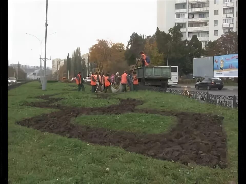 Зеленстрой старый Оскол 2022. Начальник Зеленстроя старый Оскол. Зеленстрой старый оскол