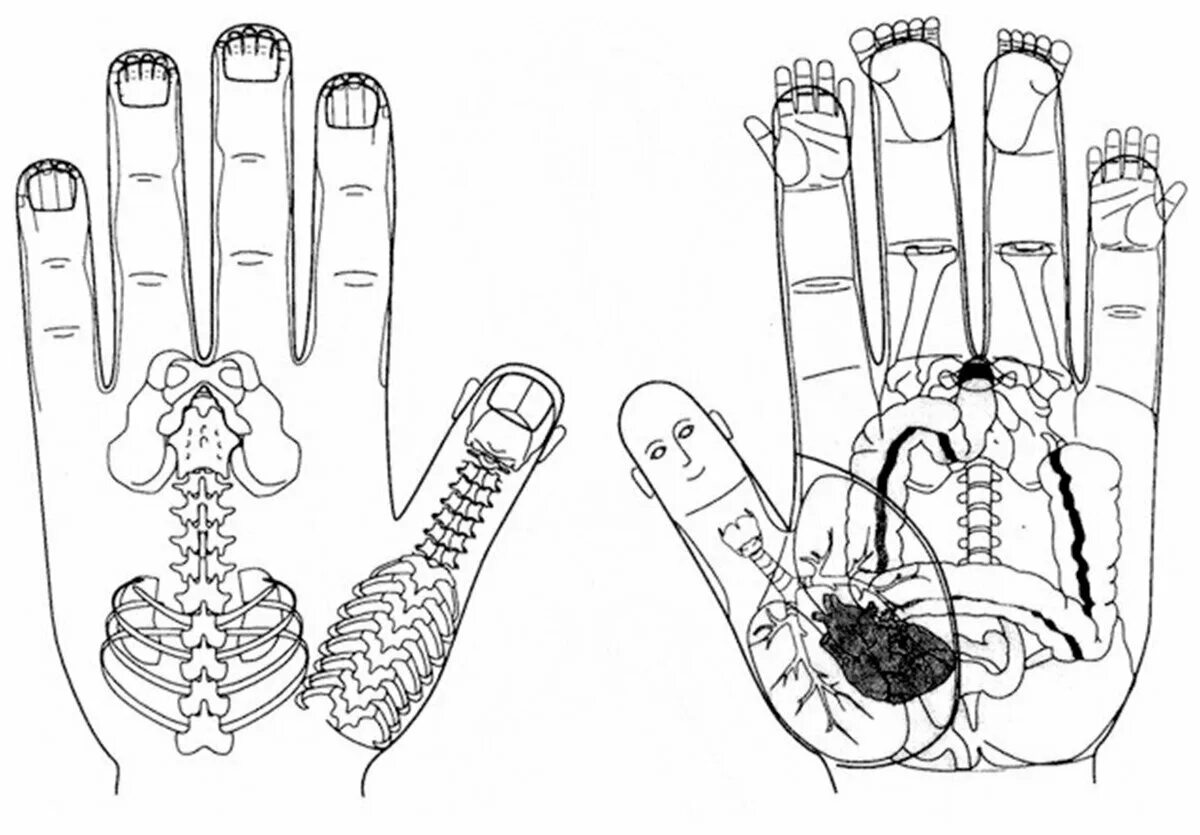 су джок терапия схема ладони. суджок терапия точки. су джок терапия точки на стопах. су джок проекция печени. суджок терапия точки.
