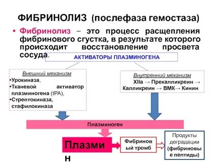 Гемостаз фибринолиз