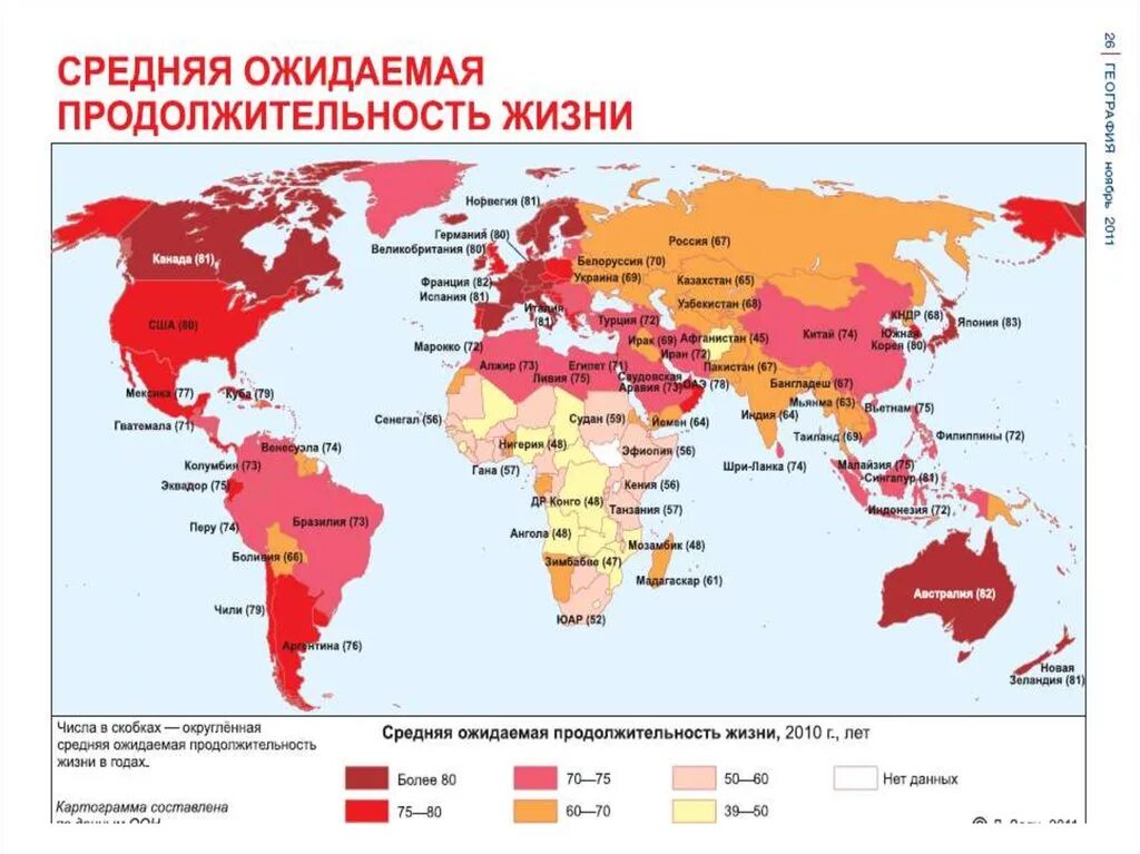 Сколько живут карте