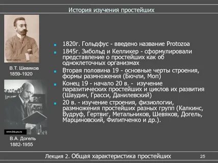 Как называется открытие