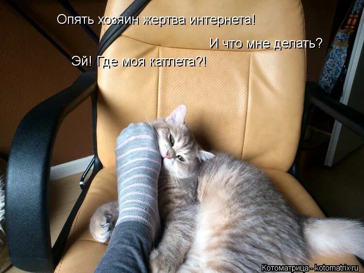 хозяин жертва. хозяин жертва. хозяин жертва. жертва обстоятельств психология. роль жертвы в психологии.