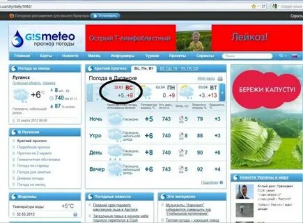 Гисметео шипунова
