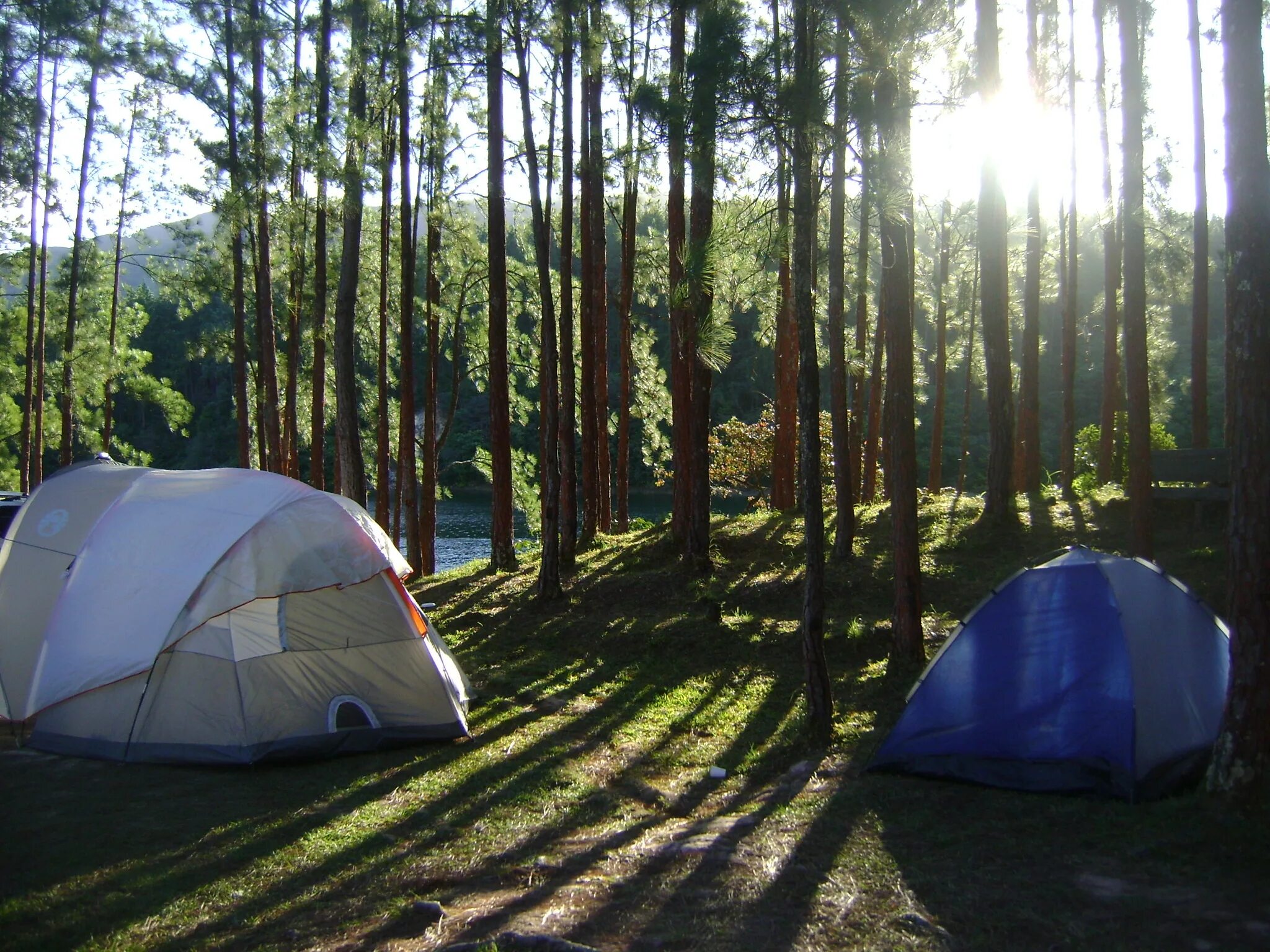 Www camp. Кемпинг лето обувь. Campamento. Картинка Campout. Cromag Campout.