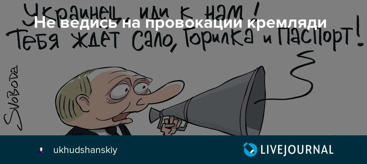 Говорил не ведись на этих дур. Не ведитесь на провокации. Не ведись на провокации. Я не ведусь на провокации. На провокации больше не поведусь.