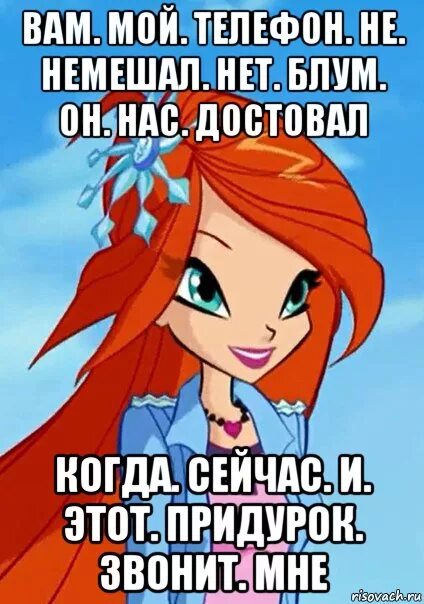 Подонок блум читать. Винкс мемы. винкс блум мемы. цитаты блум винкс. винкс блум мем.