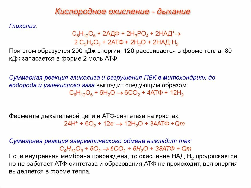 Окисление дыхания. Реакции кислородного этапа клеточного дыхания. Суммарная реакция клеточного дыхания. Кислородное окисление. Гликолиз и кислородное окисление.