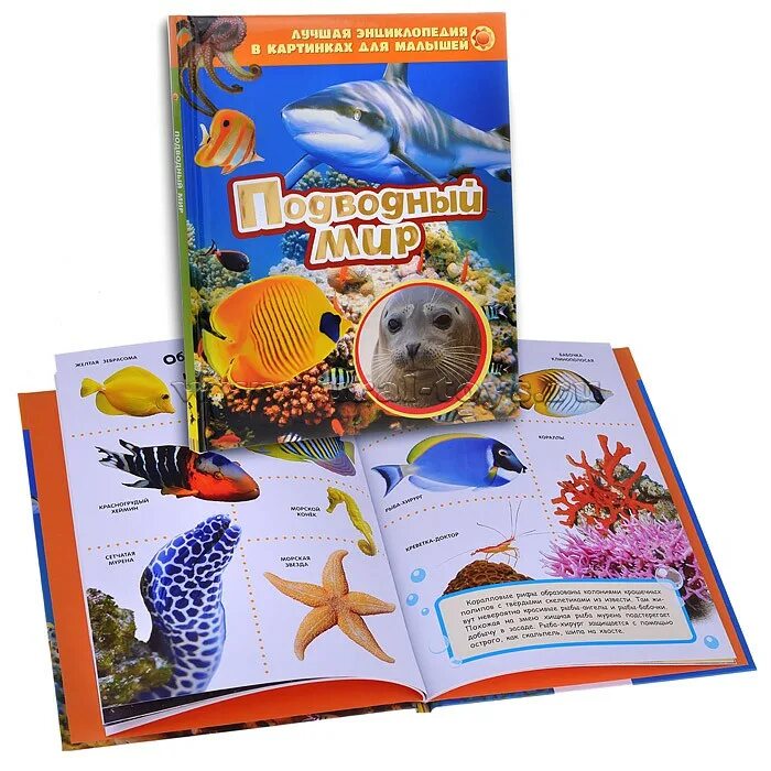 Энциклопедия в картинках. Энциклопедия для малышей в картинках. Энциклопедия в картинках. Детская энциклопедия книга. Энциклопедия дошкольника.