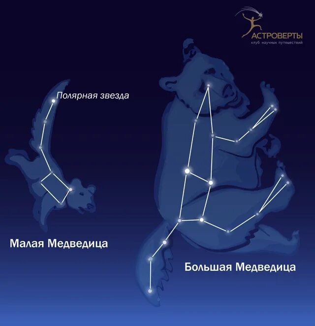 Как найти на звездном небе малую медведицу