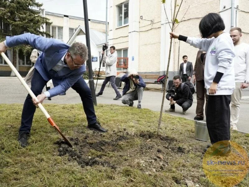 Высадили участника сво. Аллея памяти. Аллея памяти деревья. Участие в открытии.