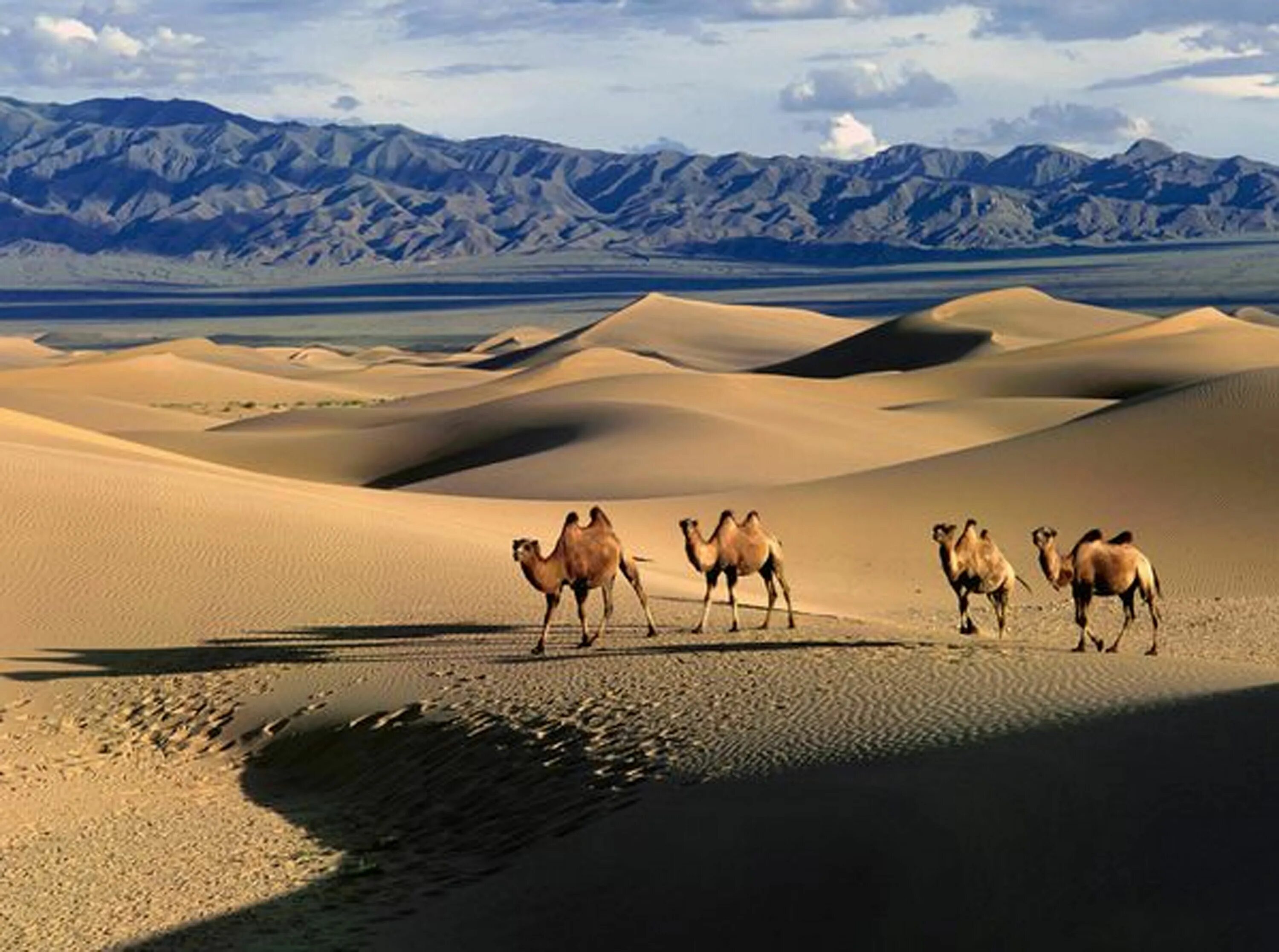 Монголия Гоби. Монгольская пустыня Гоби. Природа Монголии - пустыня Гоби. Монголия пустыня Гоби 2023.