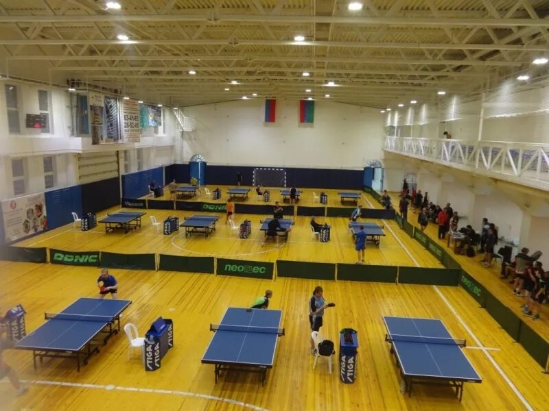 Частный дворец спорта откроется в Петрозаводске - "Республика"