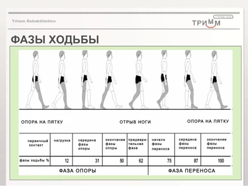 Фазы ходьбы. Фазы спортивной ходьбы. схема ходьбы. фазы походки.